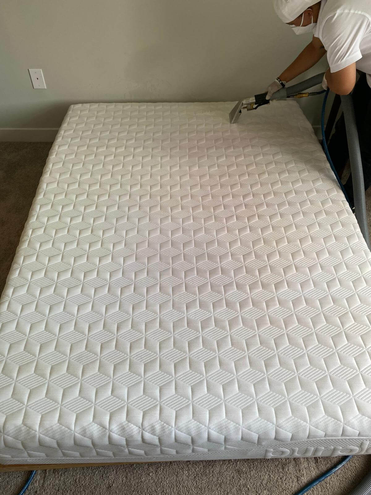 mattress cleaning knoxville tn